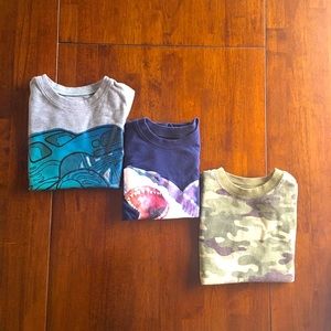 Boys size 5 T-shirts bundle